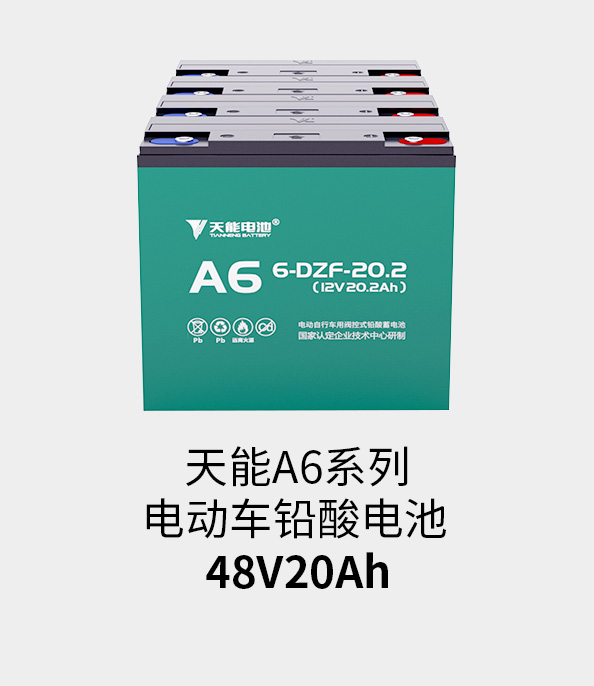 天能電池48v20ah